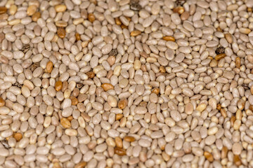 Close up of white chia seeds