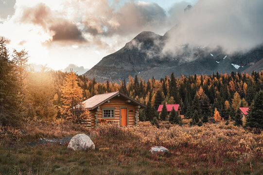 Wooden huts with sunshine in autumn forest at Assiniboine provincial park