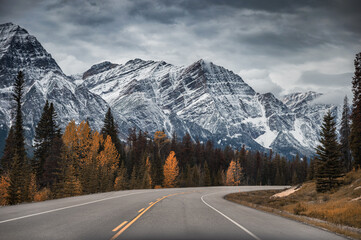 Road trip with rocky mountains and autumn forest in Banff national park at Icefields Parkway