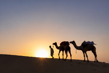Fototapeta na wymiar Silhouette of man walking with his camels, Thar desert, Rajasthan, India