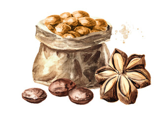 Sacha Inchi roasted seed nuts, Plukenetia volubilis