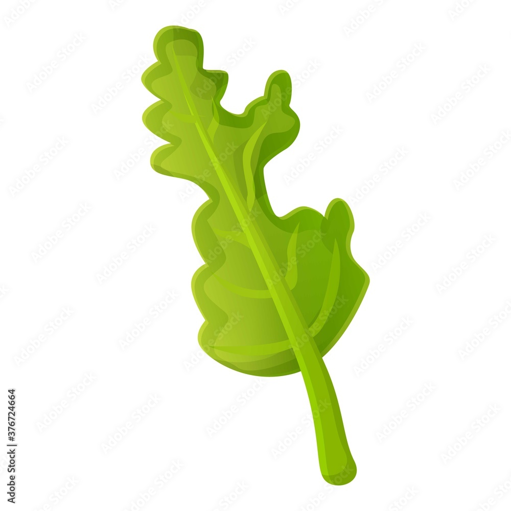 Poster botany arugula icon. cartoon of botany arugula vector icon for web design isolated on white backgrou