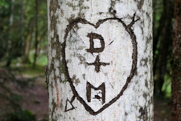 Coeur grav&eacute; par des amoureux sur un tronc d'arbre en gros plan