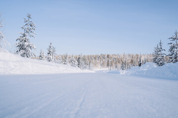 White northern environment with road getting to wood with freezing trees destination, scenery of beautiful National park landscape with spruces