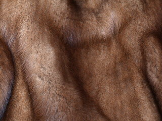 Brown mink fur texture background