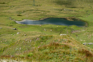 Panoramic view of a lake among alpine pastures.