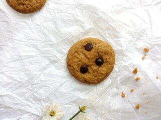 brown soft cookies with chocochips topping. cookies on the white background