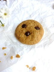 brown soft cookies with chocochips topping. cookies on the white background