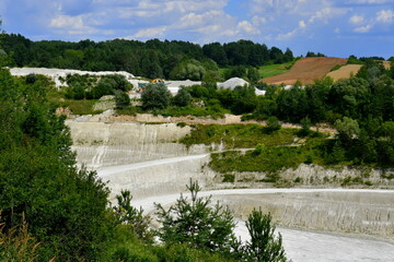 A view from the top of a hill completely covered with grass, herbs, and shrubs with some tall trees surrounding it and tall hills and a white salt mine visible in the distance on a cloudy summer day