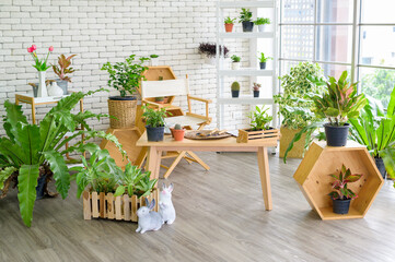 A view of indoor garden in modern house, Home gardening and hobby concept.