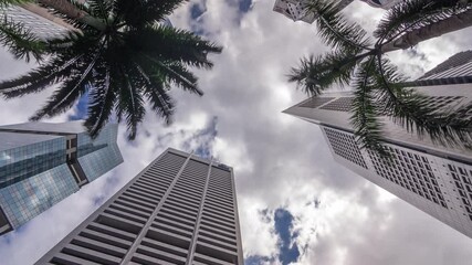 Looking up perspective of modern business skyscrapers glass and sky view landscape of commercial building in central city timelapse. Towers with reflections and palms in Singapore