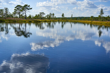 Fototapeta premium Reflection of trees and clouds in water