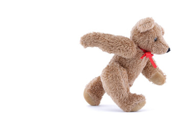 Walking Teddy bear on white background with copy space