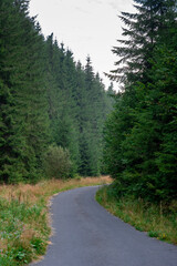 The road through nature