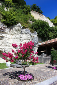 Laurier rose en fleurs pr&ecirc;t de l'&eacute;glise souterraine d'Aubeterre sur Dronne