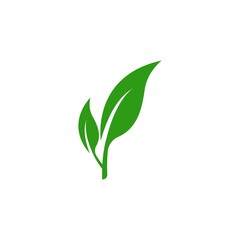 Green leaf logo
