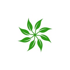 Obraz premium Green leaf logo