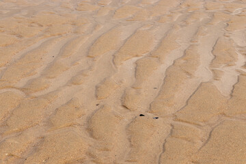 Sand and water at a beach in Belgium. 