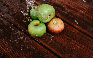 Splashes of clean water pour over freshly picked apples of the autumn harvest. Red and green apples lie on the mahogany wooden kitchen table, and water drips from the top.