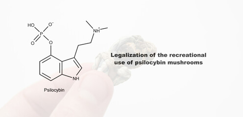 Legalization of the recreational use of psilocybin mushrooms, ps