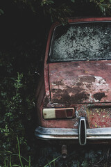 Old car from the 90s abandoned among plants. Abandoned Argentine R12 c