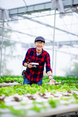 A male photographer is taking pictures in his salad garden and enjoying photography. Photography concept