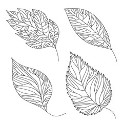 Vector set of leaves, collection of hand-drawn leaves
