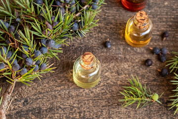 Bottles of essential oil with juniper twigs and berries