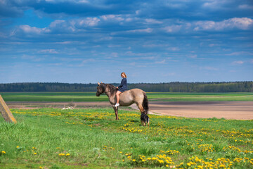 A young girl rides a horse on a field with dandelions.