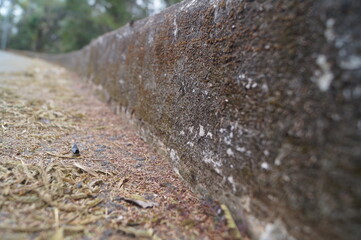 water flowing into the water