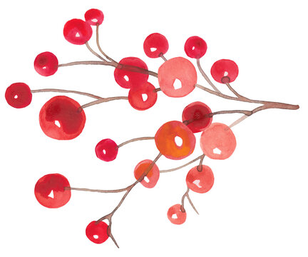 Red berries on tree branch stem, autumn or fall design element, Christmas winterberry painted in watercolor, rustic floral illustration for Christmas holiday of holly berry