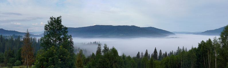 Panoramic shot of morning fog covered Carpathian mountains in Ukraine