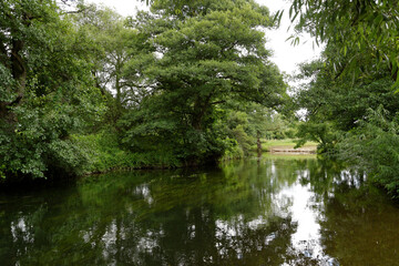 Fototapeta na wymiar green trees reflecting in the flowing river