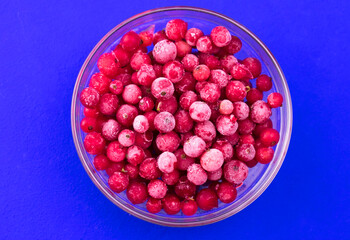 
Frozen red currant berries in a plate on a blue background. Flat lay.