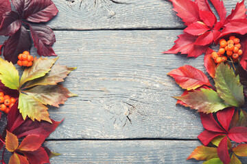 Naklejka na ściany i meble Autumn leafs with berries on grey wooden table
