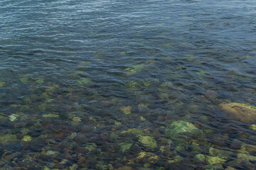 Fototapeta na wymiar green yellow colored pebbles in the clear blue water of lake baikal, shore, summer, ripples