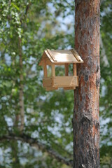 Allphotokz Kok Tobe 20060508 7040 5D S