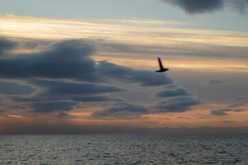 Sunset in the ice fjords of the Norwegian Archipelago of Svalbard, Norway