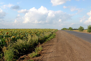 The road is in a rural location. Rural road. Asphalt road.