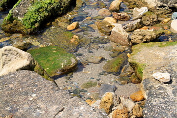 Seaside. Rocky shore. Rocks on the beach.