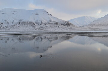 Sunset in the ice fjords of the Norwegian Archipelago of Svalbard, Norway