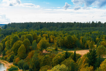 Obraz premium Dense forest with a path photographed from above