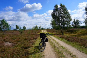 eine Radtour durch die Heidelandschaft bei Schneverdingen in Niedersachsen