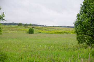 fabulous smells of warm summer