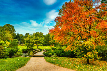 Moscow,Russian Fedration/September 7, 2020: The wooden bridge in the autumn garden