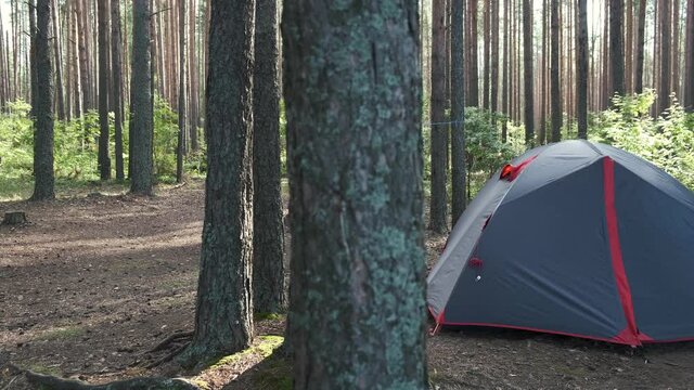 Tourist camping tent in the middle of beautiful pine forest. Hiking, trekking, campsite, outdoor activities.