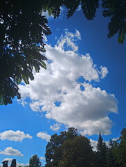 Obraz premium sky and clouds