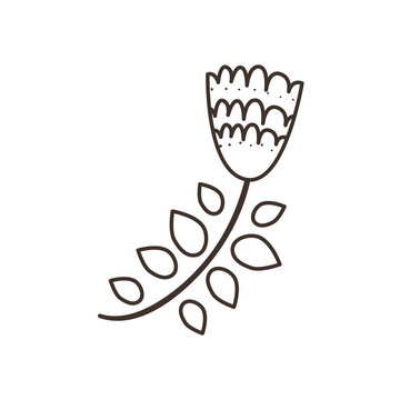 mexican flower with leaves free form line style icon vector design