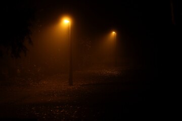 Foggy night park with public lighting 02