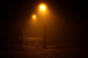 Foggy night park with public lighting 03
